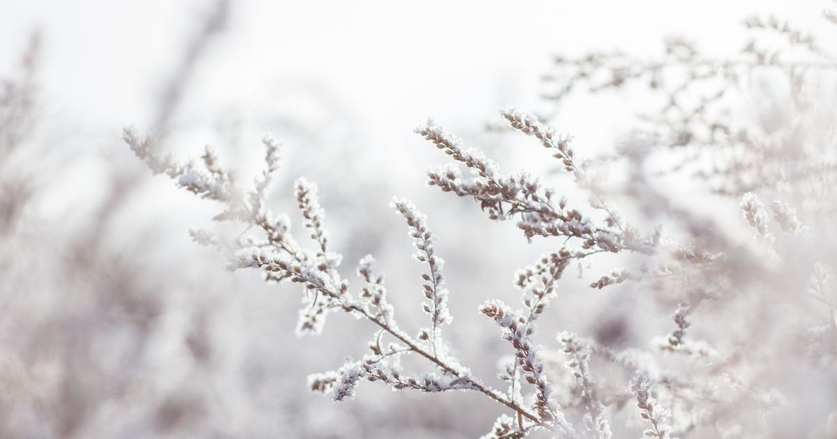 voed-je-huid-in-de-winter-met-de-juiste serums