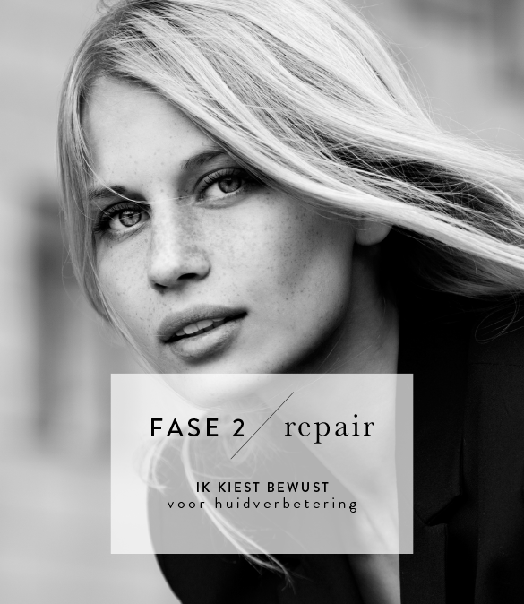 Fase 2: Repair